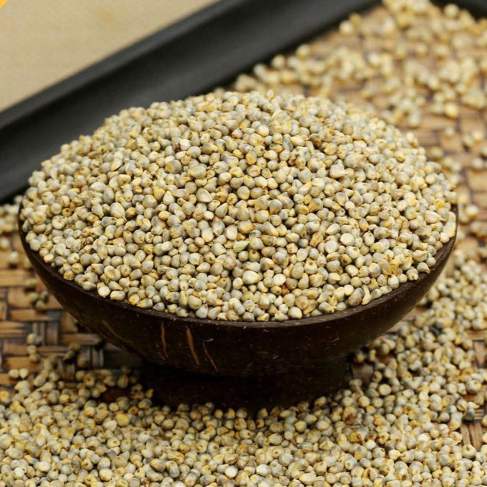 Pearl Millet Seed view